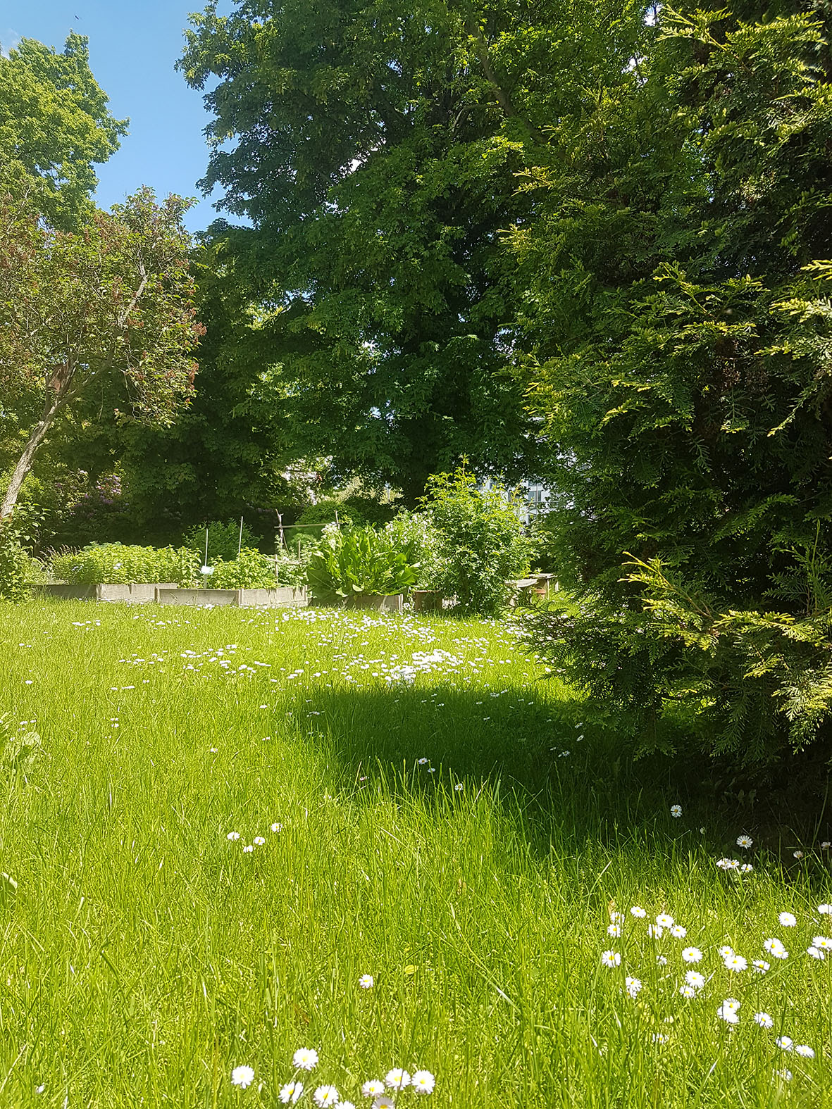 Garten der Akademie, Bild: SAW