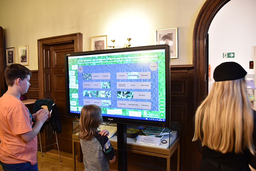 Wie hießen Meerretich, Hundsrose oder Salbei früher? Beim Computer-Spiel des Akademievorhabens Althochdeutsches Wörterbuch müssen die Samentüten mit althochdeutschen Pflanzennamen an die richtige Stelle ins Beet gepflanzt werden, damit alles erblüht.