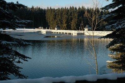 Neunzehnhain