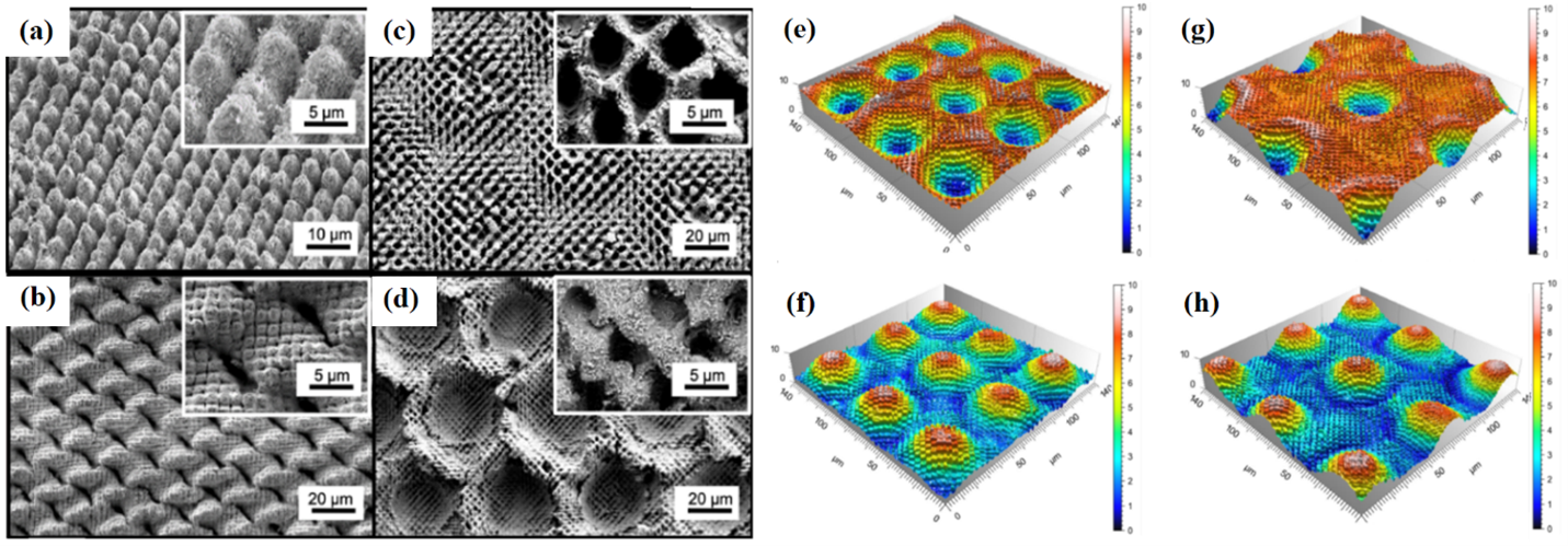 Figure 1. Scanning Electron Microscope (SEM) and Confocal images of different single-scale and multi-scale micro-structures fabricated by: (a) DLIP (two-beam with two process steps), (b) DLW and DLIP (pillar geometry), (c) DLIP (four-beam) with crater-like morphology; (d) DLW and DLIP with dot-like geometry, (e, g) treated metallic stamps with DLW and DLIP and corresponding imprint on PET (f, h).